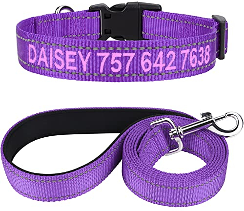 TagME Hundehalsband und Leine, Personalisierbar Reflektierendes Hundehalsband Mit 1.5M Doppelseitige Reflektierende Hundeleine für Kleine, Lila