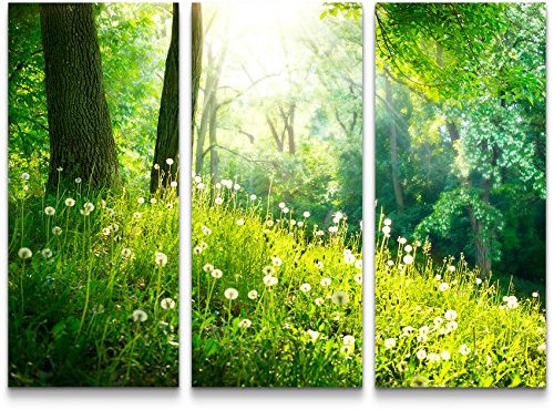 Paul Sinus Art Leinwandbilder | Bilder Leinwand 130x90cm Pusteblumen im Wald