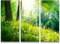 Paul Sinus Art Leinwandbilder | Bilder Leinwand 130x90cm Pusteblumen im Wald