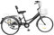 WooDerson 24 Zoll 3 Räder Fahrrad Für Erwachsene, 7 Gang Dreirad Mit 2 Einkaufskorb, Kohlenstoffgehalt Erwachsenendreirad Geschenk