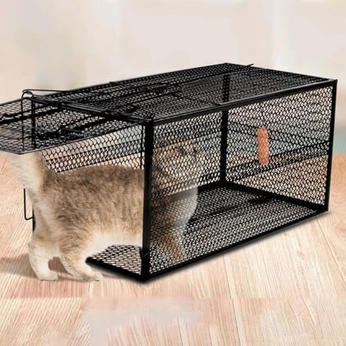 Käfig for Lebende Tiere, Katzenfalle for Streunende Katzen, Waschbärfalle for Waschbären, Opossums, Murmeltiere, Stinktiere, Wildkatzen, Eichhörnchen