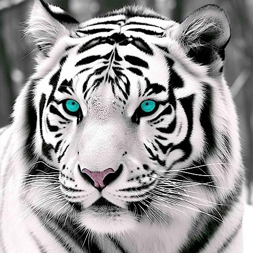 Bimkole DIY 5D Diamond Painting Zubehör Blauäugiger Weißer Tiger, Tier Diamant Malerei Kit Voll Runde Bohrer Malen nach Zahlen Malerei Stickerei Kreuzstich Diamond Dekoration 30X30 cm