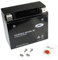 Gel-Batterie für Harley-Davidson VRSCAWA V-Rod ABS, 2008, wartungsfrei, inkl. Pfand €7,50