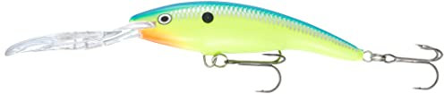 Rapala Unisex-Adult Deep Tail Dancer Angelköder-Angelzubehör aus Balsaholz-Stabile Tauchschaufel-Süßwasser Spinnköder-Lauftiefe 6m-Fischköder 9cm, 13g-Hergestellt in Estland-Parrot