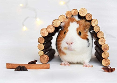 HANSEPUZZLE 42572 - Meerschweinchen Puzzle 260 Teile | Gefühle Puzzle mit hochwertiger Puzzle Aufbewahrung: Kartonbox und wiederverschließbarem Beutel | Puzzle-Maße: 41 x 28,7 cm