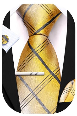 Barry.Wang Herren Seiden-Geschäftskrawatten mit Taschentuch Manschettenknopf-Streifen Plaid-Krawatten-Set Feierliche Hochzeit