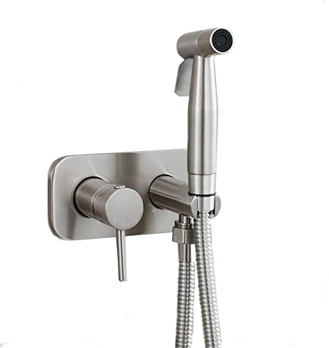 Bidet-SprüHgeräT, Unterputz Wc-Bidet Handbrause Set, Hand Bidet Sprayer, Bidet Handbrause, Edelstahl Duschkopf Bidet Armaturen Mit Edelstahlschlauch, FüR Haustierbad Und KöRperpflege (GebüRstet),Type1