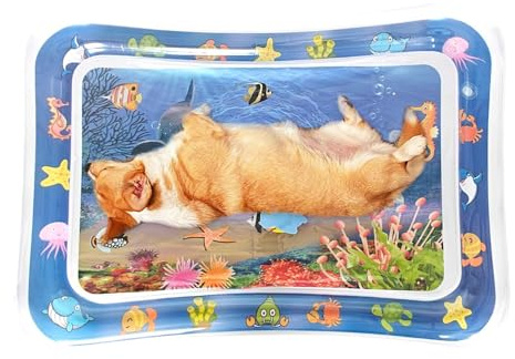 Wasserspielmatte für sensorische Wasserspielmatte – verdicktes | sensorisches Wasserkissen, sensorisches Wasserspielmatte, Spiel mit Fisch, Wassersensormatte, sensorisches Spielzeug für den