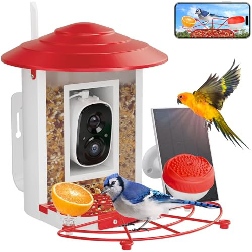Bird Feeder with Camera Solar Powered, Smart Bird Feeder Camera 2K Feed Cam for Outdoor Backyard - Ai Identify Auto Capture Bird Videos, 2.4GHz WiFi Bird Camera, Gifts for Birdlover, Red & Accessories