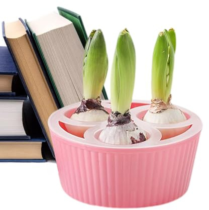 Maceta de jacinto de 3 agujeros, contenedor hidropónico para uso en interiores, alféizares de ventanas, cocinas, salas de estar y dormitorios, adecuado para jardineros, principiantes, habitantes de