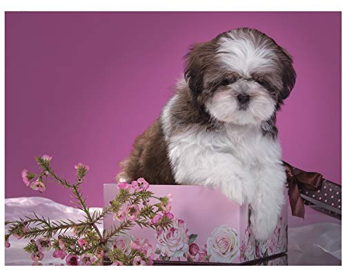 Diamond Painting Set,Shih Tzu Hund Diy 5D Diamant Malerei Kreuzstich Diamant Stickerei Niedlichen Haustier Bohrer Strass 3D Bild Mosaik Diamant 40x50cm