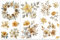 PLIGREAT 3 Blätter vergoldete Blumen reiben auf Transfers für Handwerk und Möbel Silber Weihnachtsstern Aufkleber für DIY Kleiderschrank Schublade Schrank Tür Dekoration alte Möbel Renovierung Dekor