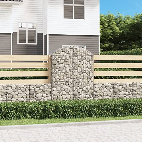 QJBSAVVA Gabione mit Hochbogen 100x50x140/160 cm verzinkt Stabil & Rostfrei Gabionenkorb als Sichtschutzzaun oder Deko für Garten Terrasse und Hof