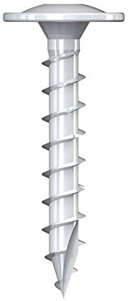 Pfostenschrauben 10 x 40, Ruspert silber, TX 40