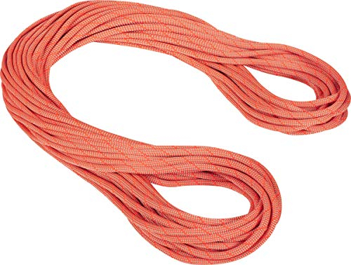 Mammut 9.8 Crag Classic Seil 70m orange/beige