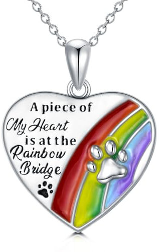 HUKKUN Regenbogenbrücke Hunde Kette Silber 925 Rainbow Bridge Hunde Gedenk Schmuck für Damen