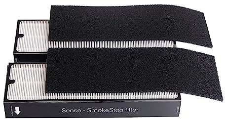BAYORE Set Mit 2 Luftfiltern Aus Kunststoff Luftreiniger Ersatz Luftreiniger Zubehör Kunststofffilter Luftreiniger Filter Aus Kunststoff