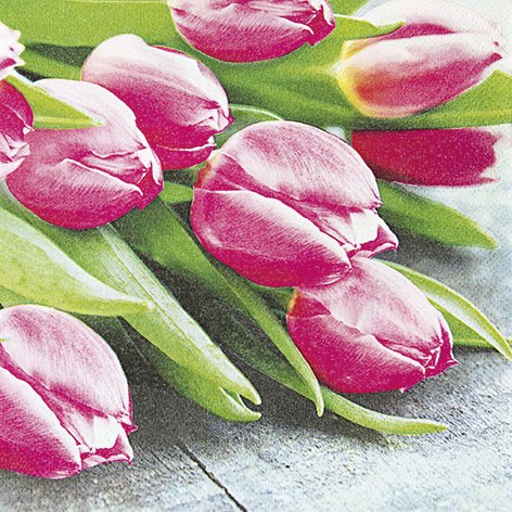 20 Servietten Pink Tulips Pinkfarbene Tulpen/Blumen 33x33cm