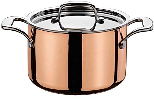 Spring 0715540624 Culinox Fleischtopf mit Deckel, Edelstahl, silber, 17,2 x 28,8 x 36,6 cm