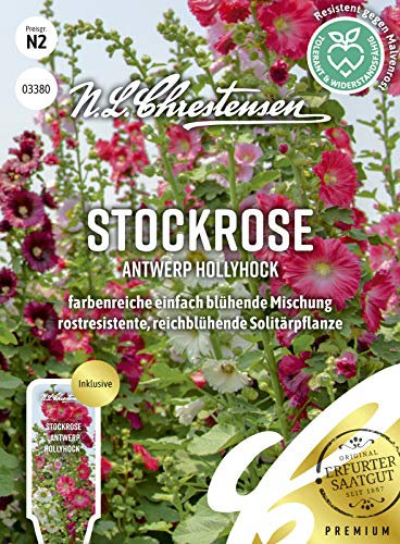 Stockrose Antwerp Hollyhock Samen, Saatgut