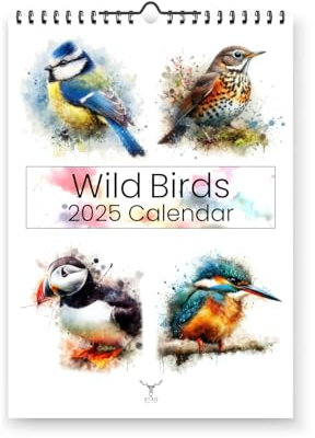 British Wild Birds 2025 Yearly Wall Hanging Calendar - Splash Effect Watercolour Prints