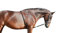 weiche Longierhilfe aus Baumwolle (kein scheuern) (XL)