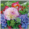 STEWO INTERNATI Servietten 20 St.FSCMix 33x33cm, Vivienne lila