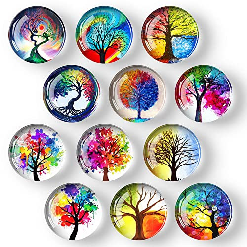 12Pcs Glass Strong Magnetic Refrigerator Magnet Fridge Sticker - Round Life Tree Glass Fridge Decoration, Office Whiteboard Magnet for Cabinet, Dishwasher, Cabinet and Locker