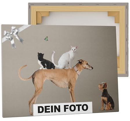 posterlux Fotoleinwand 40×30 cm Querformat - personalisiertes Wandbild mit eigenem Foto - Geschenkidee - hochwertiger Leinwanddruck Made in Germany