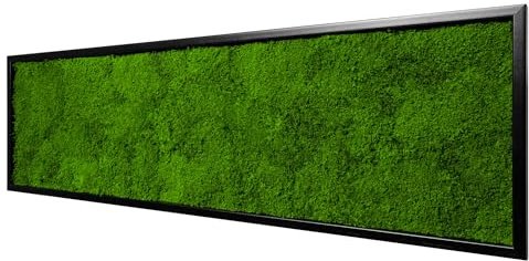 Moos Design | Moosbild in versch. Größen (Flat Design, Holzrahmen: schwarz, 140 x 40 cm)