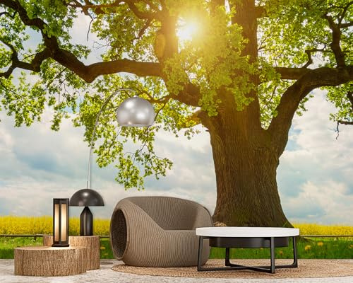 PaxGloz Fototapete Baum 3D Landschaft Tapete Alte Eiche Tapeten Vliestapete Modern Wandtapete Wohnzimmer Schlafzimmer Kinderzimmer Wanddeko Motivtapeten 350 x 256 cm (B x H)