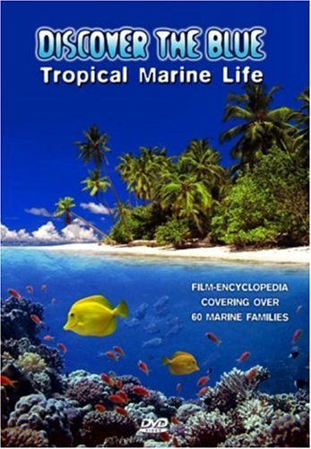 Discover The Blue - Tropische Meerestiere