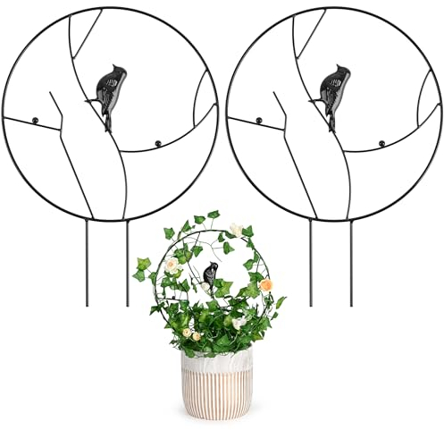 Grünara Enrejado para enredaderas de interior, soporte para plantas de hierro, soporte para plantas de interior para decoración del hogar, un gran regalo para los amantes del jardín, 2 unidades
