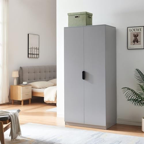 [en.casa] Kleiderschrank Eiselfing Schrank mit 2 Türen Garderobenschrank 176 x 80 x 52 cm Schlafzimmerschrank 1 Kleiderstange 1 Fach Grau