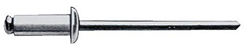 Gesipa Blindniete A2-Edelstahl 5 x 10 mm, 500 Stück, (1455169) Blindniettechnik