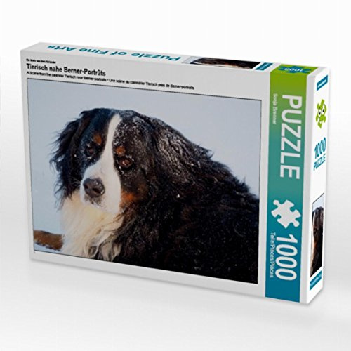 Puzzle · EIN Motiv aus dem Kalender Tierisch nahe Berner-Porträts | 1000 Teile · Lege-Größe 64 × 48 cm · CALVENDO Puzzle