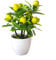 Künstliche Zitronenpflanze im Topf, künstliche Topfblumen, künstliche Pflanze, Outdoor, Hof, Garten, Zuhause, Topfdekoration, kleiner künstlicher Zitronenbaum für Schlafzimmer, Wohnzimmer,