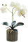Fake Plants Decorative Artificial Flora 12.6 Inch Tall Realistic Artificial Orchid Plant In A Pot Real Touch Decorative Bonsai Fake Flowers Artificial Flowers In Vase Artificial Plants Indoor White