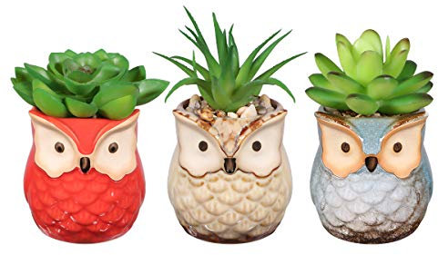 BESTOMZ Piante grasse artificiali e fioriere a forma di gufo, 3 piante grasse artificiali decorative finte per piante grasse finte con vasi per interni/esterni/soggiorno/ufficio