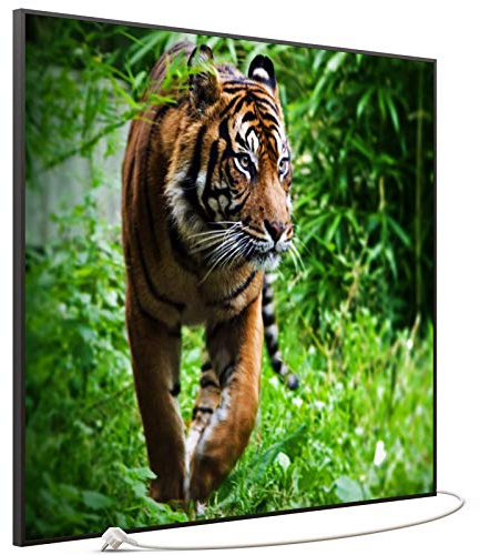 STEINFELD Bild Infrarotheizung 1200 Watt – mit Thermostat | Motiv: 024 Tiger | Rahmen: Schwarz | 7 Jahre Garantie | Made in Germany | für Wand Montage