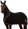EQUILYX® Abschwitzdecke Pferd mit Kreuzgurten [perfekte Passform] Fleecedecke Stalldecke Transportdecke wärmend feuchtigkeitsabsorbierend atmungsaktiv (Schwarz, 125cm)