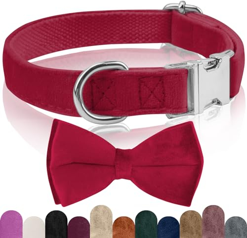 KTWSUEF Hundehalsband Samtiges, mit Abnehmbarer Hunde Fliege, Komfortable Verstellbares Samtige Halsband Hund, Geeignet für Hunde Kleine Mittel große Hunde, Für Hochzeiten, Geburtstage, Partys usw