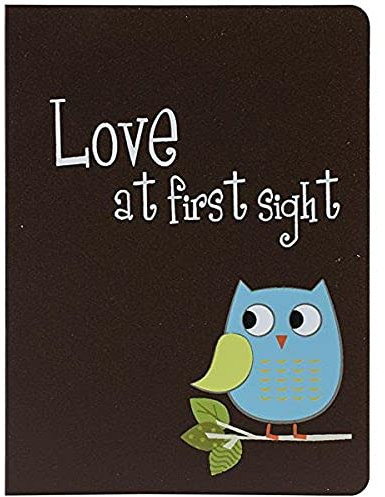 Baby Owl Brag Book Album 4X6 36 Pockets-Assorted Colors