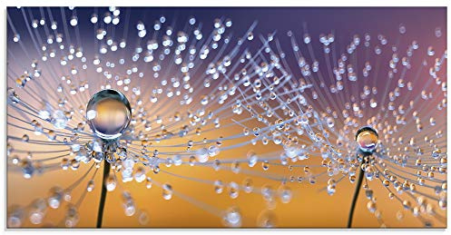 ARTland Wanddeko Glasbilder Wandbild Glas Bild einteilig 60x30 cm Querformat Blumen Pusteblume Wassertropfen Natur Modern Orange U1TA
