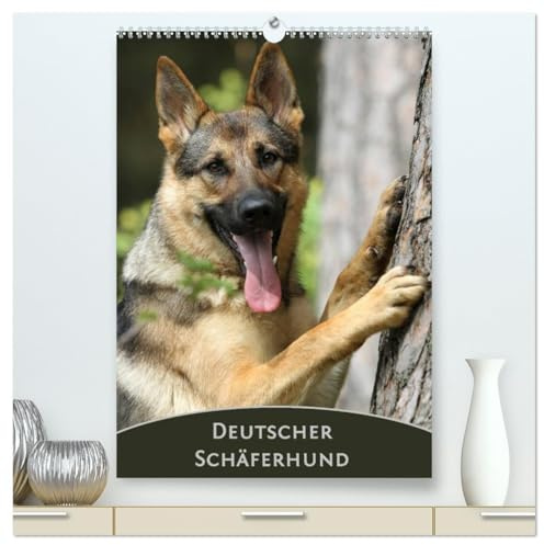 Deutscher Schäferhund (hochwertiger Premium Wandkalender 2026 DIN A2 hoch), Kunstdruck in Hochglanz: Monatskalender mit wunderschönen Farbfotos des Deutschen Schäferhundes (CALVENDO Tiere)