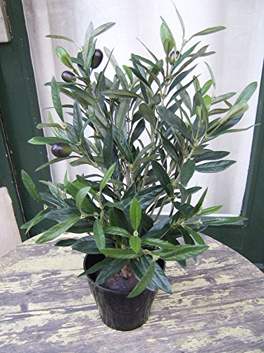 Künstliche Olive im Topf ca. 45cm Top Qualität Kunstpflanze