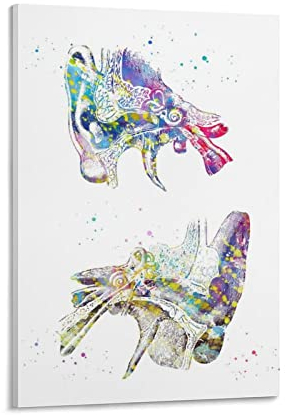 KIKIKI Medizinische und wissenschaftliche Kunst, menschliches Ohr-Poster, Wandkunst, Posterdrucke, Heimdekoration, Bild, Leinwand