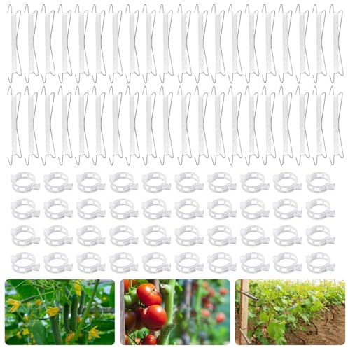 HuaMuDM Tomatenhaken mit Schnur,40 Stück Tomatenhaken mit 40 Pflanzenschnalle &15m Seil,Tomatenhaken Set,Tomatenhaken Metall,Garden Tomato Hooks,Doppelte Tomatenhaken für Hängende Tomaten und Gurken