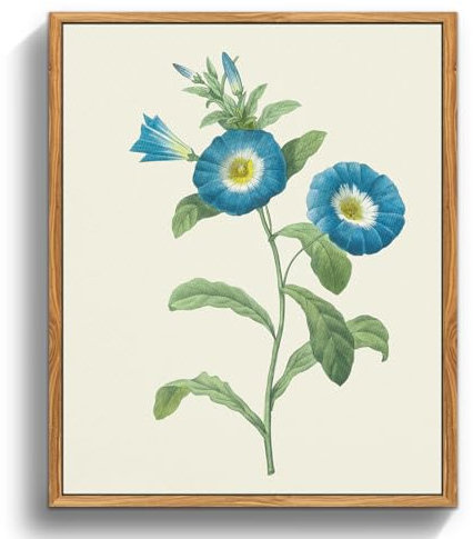 MHARTK66 Vintage Insekten Leinwand Bilder mit Rahmen Holz, 30x40 cm Wandbilder Wohnzimmer Blauer Prunkwinde Bild Aesthetic, Illustration Wanddeko Schlafzimmer Badezimmer Büro Zimmer