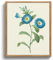 MHARTK66 Vintage Insekten Leinwand Bilder mit Rahmen Holz, 30x40 cm Wandbilder Wohnzimmer Blauer Prunkwinde Bild Aesthetic, Illustration Wanddeko Schlafzimmer Badezimmer Büro Zimmer